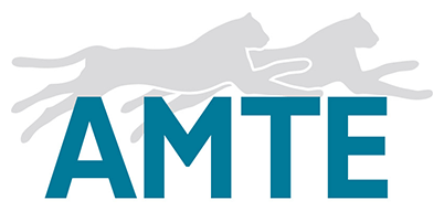 logo-amte-e1627048876896